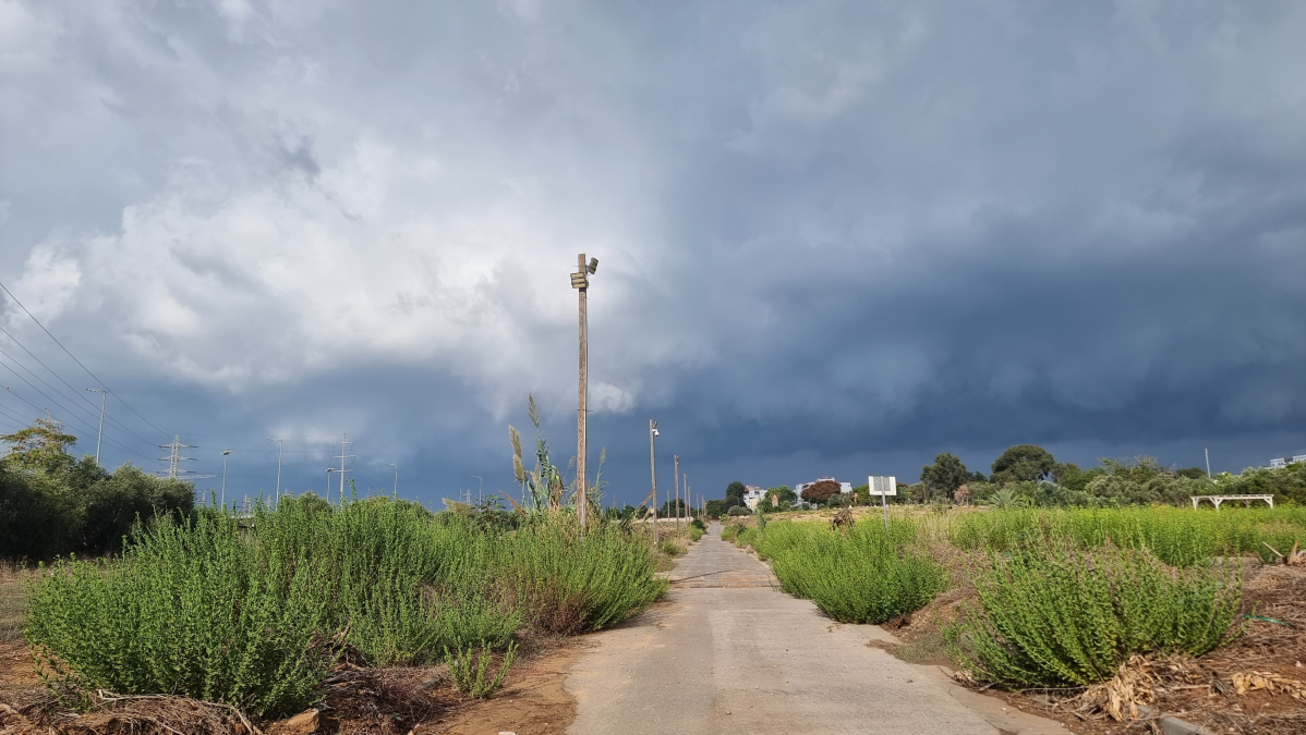 يافا: أمطار الخير تتساقط على بلادنا شاهد ظاهرة الشاهقة المائية فوق شاطئ العجمي.